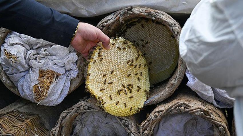 Giresunlu turistler Van'da arıcı oldu! Karakovan balı hasadına katıldılar