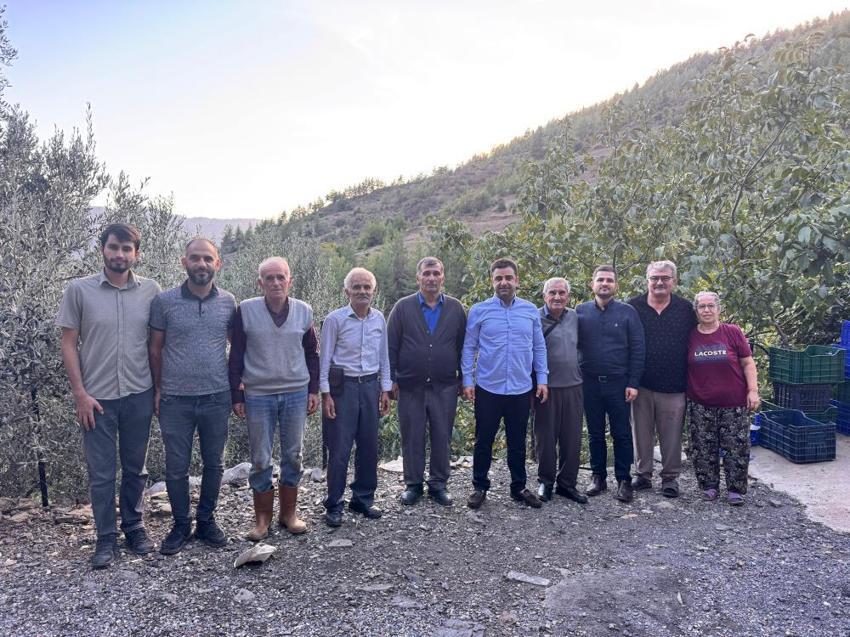 Sadece Gazipaşa'da yetişiyor! Tarlada 60 TL! Coğrafi işaretli olarak tescillendi