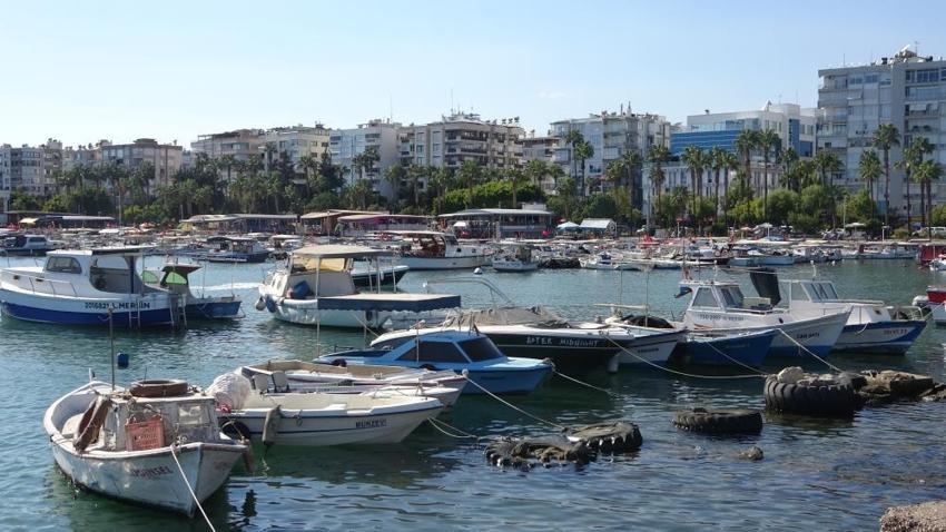 Türkiye'nin en ucuz balığı Mersin'de! Kasım sonuna kadar sürecek, Balıkçılar 'bu fırsatı kaçırmayın' dedi!