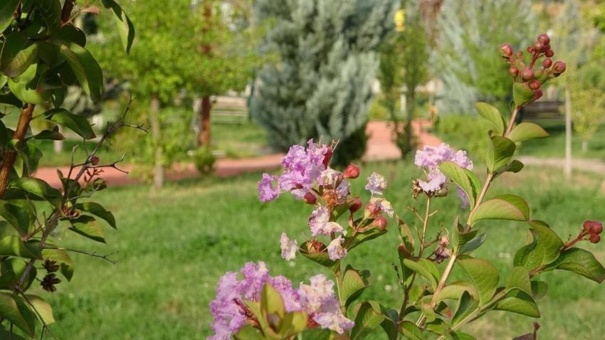 Nüfus 10 katına çıkmıştı, şimdi in cin top oynuyor! Türkiye'nin 1 şehri sessizliğe gömüldü!