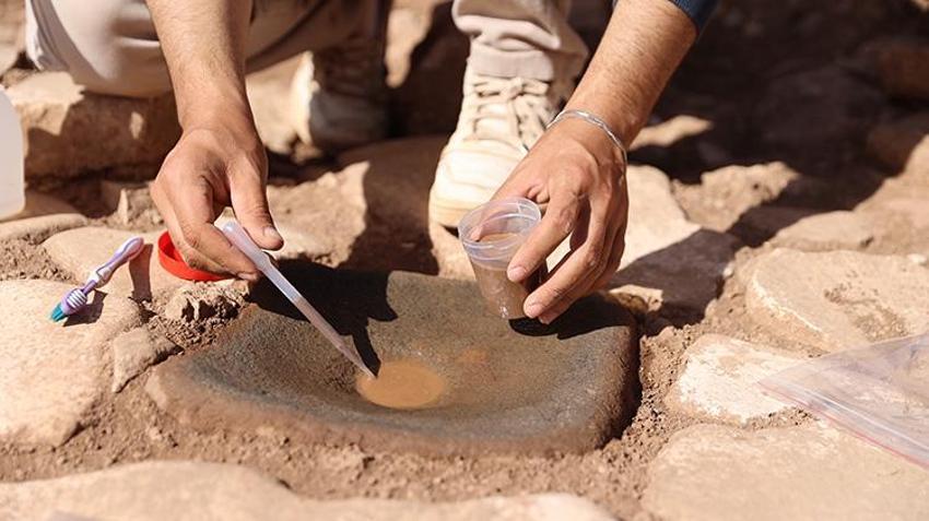 Şanlıurfa'nın 11 bin yılık beslenme sırrı çözülüyor! Karahantepe'den tarıma geçişe ışık tutan bulgu