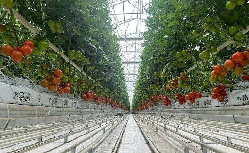 Eskişehir’de jeotermal kaynak aranacak: O ilçeye 10 milyon TL'lik yatırım