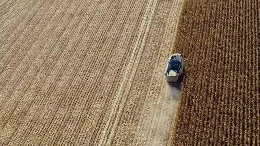 Konya'nın göbeğinde 50 bin liraya arazi! 200 adet satılıyor: İşte arsaların yerleri