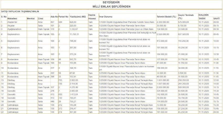 Konya'nın göbeğinde 50 bin liraya arazi! 200 adet satılıyor: İşte arsaların yerleri
