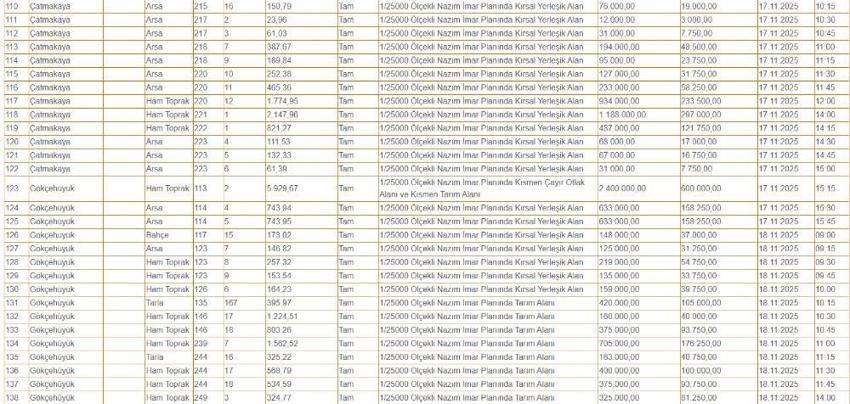 Konya'nın göbeğinde 50 bin liraya arazi! 200 adet satılıyor: İşte arsaların yerleri