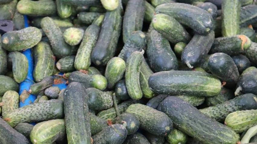 Malatyalılar pazarlara koştu! Fiyatlar uçtu ama kapış kapış gidiyor