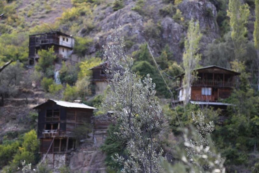 Artvin'de bir köy tarih kokuyor! Tüm evler tek bir ağaçtan...