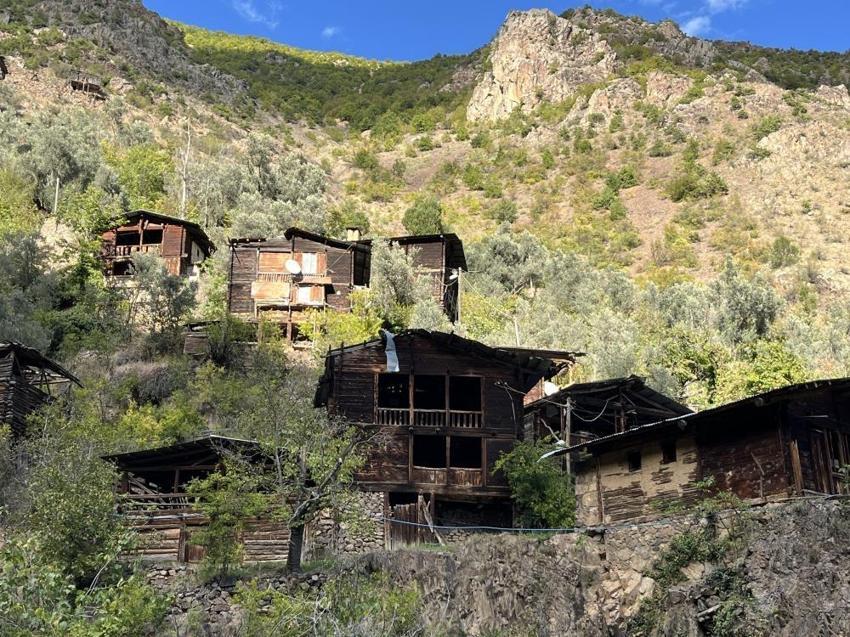 Artvin'de bir köy tarih kokuyor! Tüm evler tek bir ağaçtan...