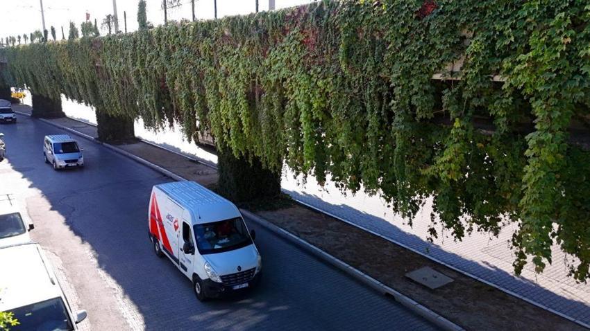 Adanalılar bu yola şaşırıyor: Zamanla sanat eserine dönüştü