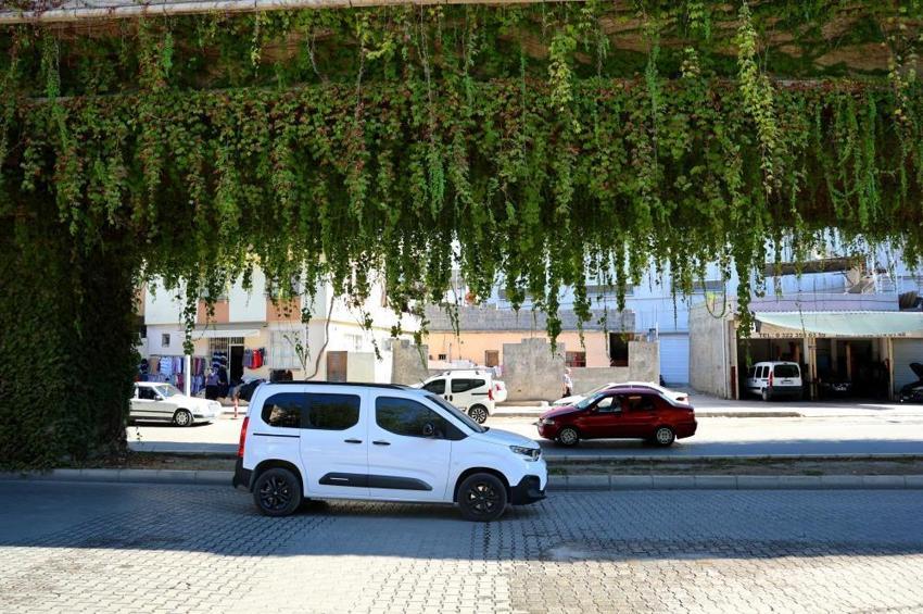 Adanalılar bu yola şaşırıyor: Zamanla sanat eserine dönüştü