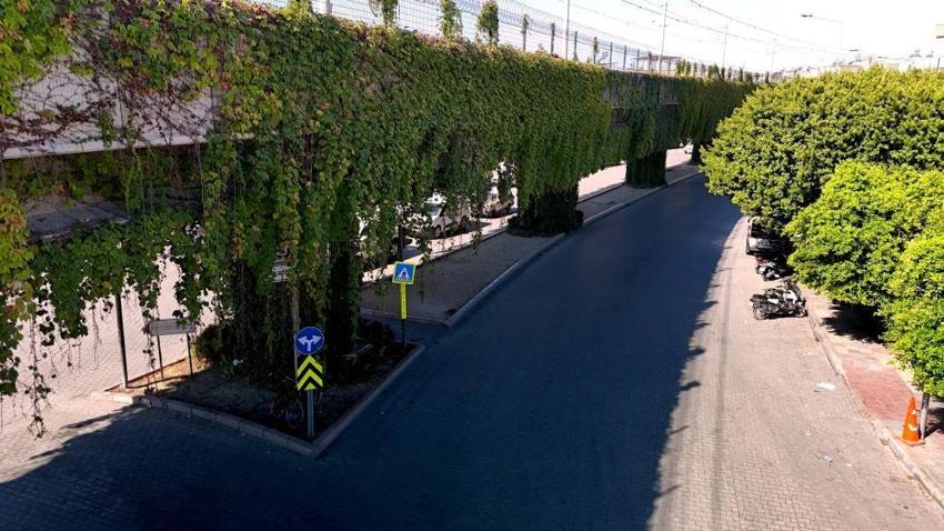 Adanalılar bu yola şaşırıyor: Zamanla sanat eserine dönüştü