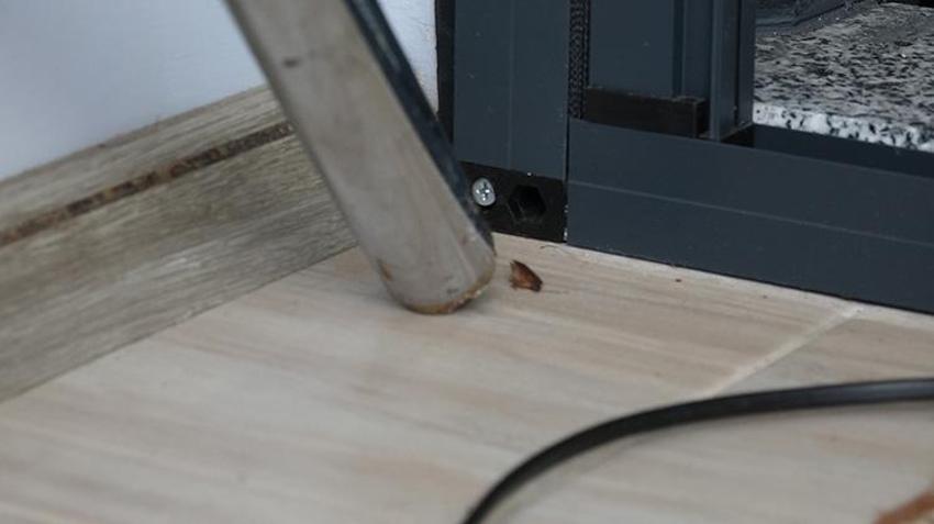 Kokarca zehirli değil ama tehlikeli! Uzmanından kritik uyarı: 'Kesinlikle el teması kurmayın!'