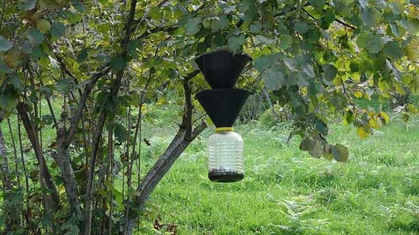 Kokarca zehirli değil ama tehlikeli! Uzmanından kritik uyarı: 'Kesinlikle el teması kurmayın!'