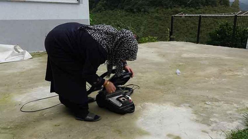 Kokarca zehirli değil ama tehlikeli! Uzmanından kritik uyarı: 'Kesinlikle el teması kurmayın!'