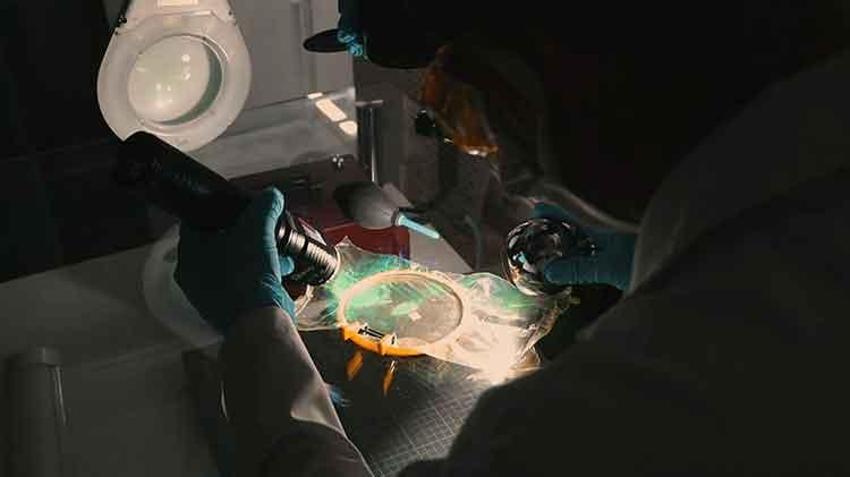 Diyarbakır'daki bir mağarada bulunan ceset 10 yıldır aranan kadına ait çıktı! 2015'te kimsesizler mezarlığına defnedildi