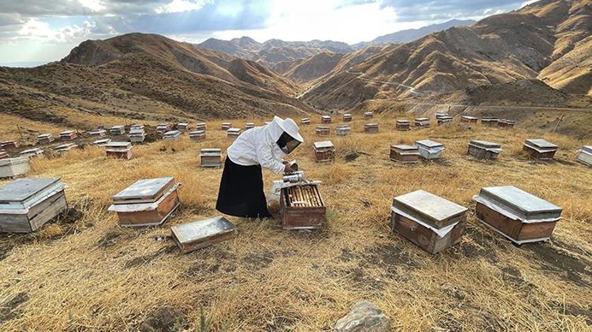 Bitlisli kadın 30 kovanla başladı, şimdi 300 kovanla üretim yapıyor! Türkiye'nin her yerinden sipariş yağıyor