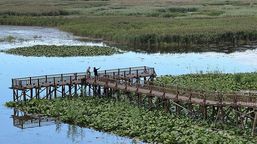 Batı Karadeniz'in saklı cenneti: Antik kentler, Şelaleler ve UNESCO kaleleriyle dört mevsim keşif rotası!