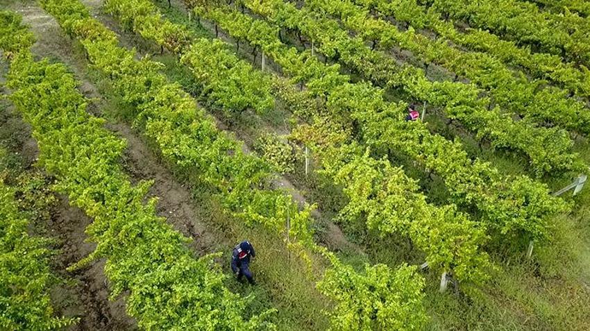 Sakarya'da 5 ton 500 kilograma düştü, jandarma nöbet tutmaya başladı!