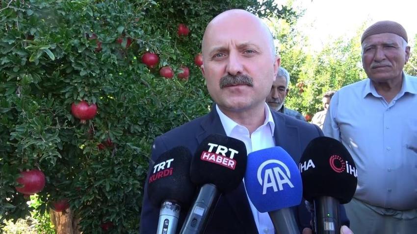 Adıyaman'da hasat başladı! Yıllık 500 bin ton üretilen ürün 9 ülkeye ihraç edilecek