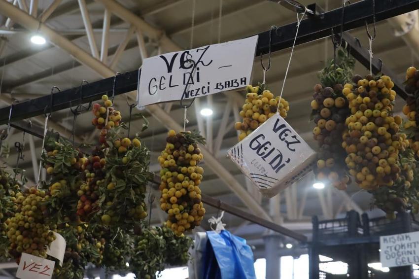 Sivas'ta nadir bulunan şifa kaynağı: İki yılda bir yetişiyor, olgunlaşınca değil çürüyünce yeniyor!