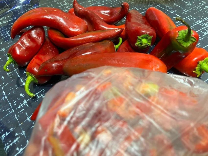 Menemen, fasulye, biber... Bayburtlu kadınlar kolları sıvadı! Buzluklar dolup taşıyor