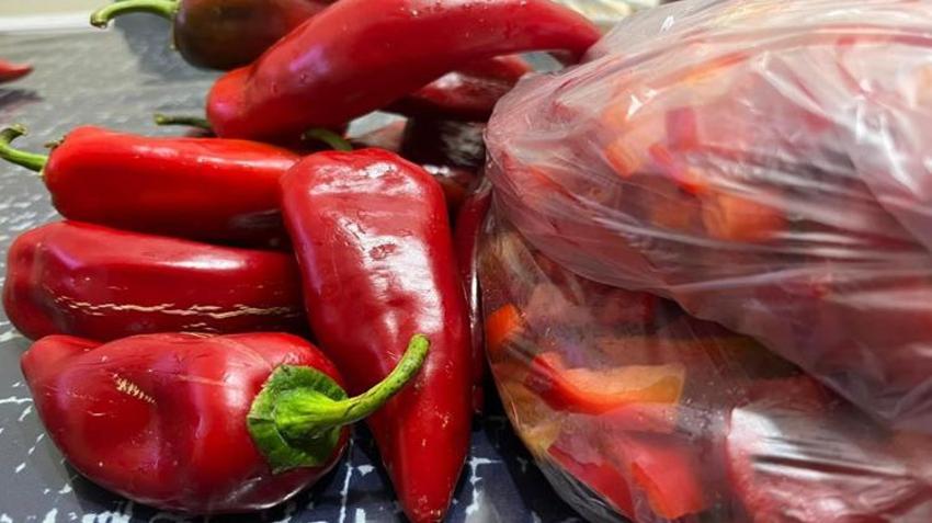 Menemen, fasulye, biber... Bayburtlu kadınlar kolları sıvadı! Buzluklar dolup taşıyor