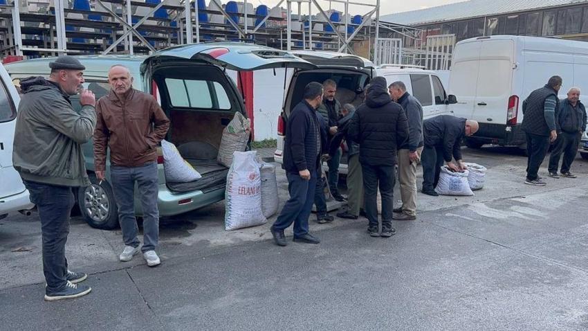 İlçede herkes şaşkın! Kilosuna 450 TL vereni görünce ağızları açık kaldı: Gal istilası işe yaradı