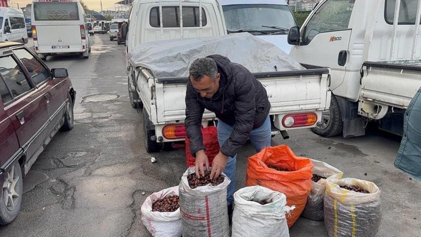 İlçede herkes şaşkın! Kilosuna 450 TL vereni görünce ağızları açık kaldı: Gal istilası işe yaradı