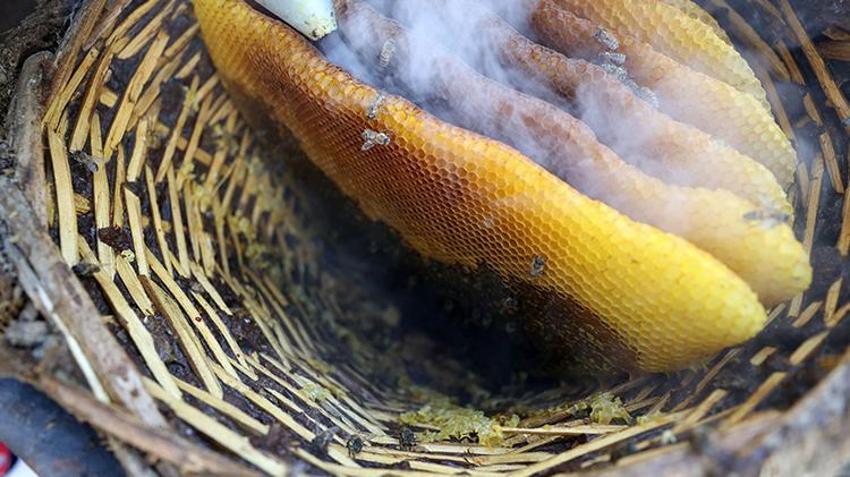 Kilosu 1750 lira! Kayınpederinden öğrendiği yöntemle üretiyor, herkes onun peşinde