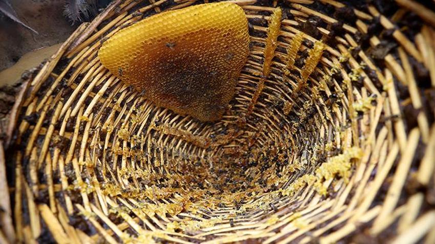 Kilosu 1750 lira! Kayınpederinden öğrendiği yöntemle üretiyor, herkes onun peşinde