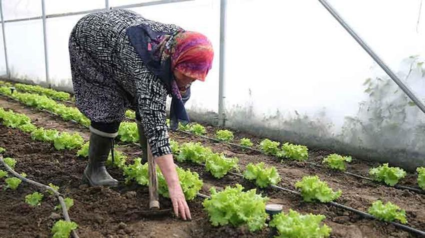 Edirne'de devlet desteğiyle üretim yapan Şirin teyzeye bir müjde daha! 'Bu işte güzel para var'