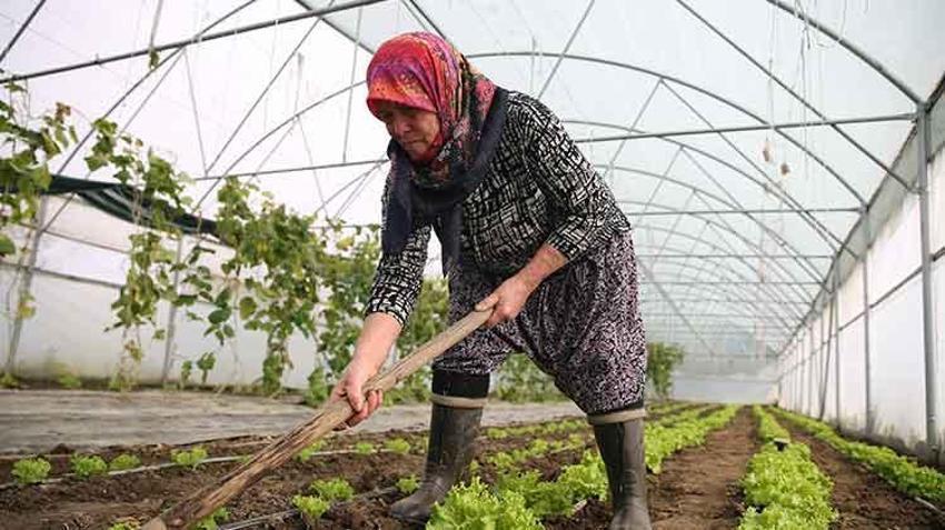 Edirne'de devlet desteğiyle üretim yapan Şirin teyzeye bir müjde daha! 'Bu işte güzel para var'