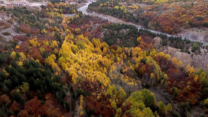 Sivas'ta Kartpostallık manzara! Sonbaharda adeta yağlı boya tablosuna dönüştü