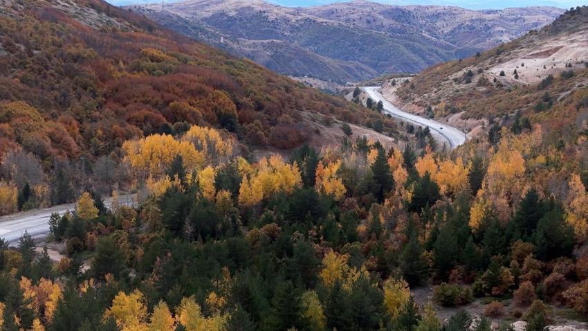 Sivas'ta Kartpostallık manzara! Sonbaharda adeta yağlı boya tablosuna dönüştü