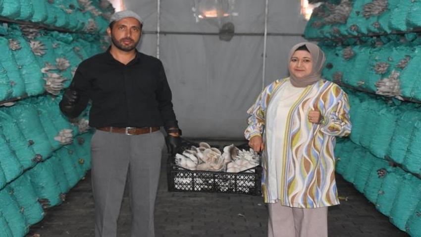 Köyde evin bahçesinde kurdu! 5 yıldızlı otellere 40 ton satış yapıyor: Kadın girişimci çadırda altın buldu