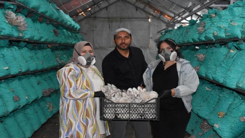 Köyde evin bahçesinde kurdu! 5 yıldızlı otellere 40 ton satış yapıyor: Kadın girişimci çadırda altın buldu