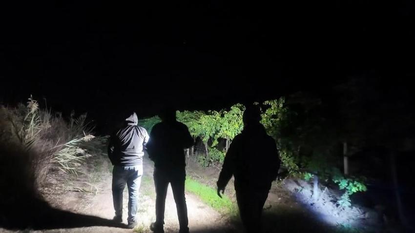 Önce don vurdu şimdi hırsız! Sakarya'da üzüm üreticileri jandarma İle birlikte nöbet tutuyor