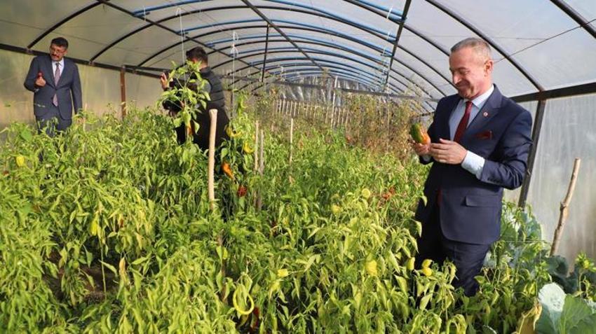 Hakkari’de üretim sezonu 2 ay daha uzatıldı! Çiftçinin kazancı asgari ücreti geçecek