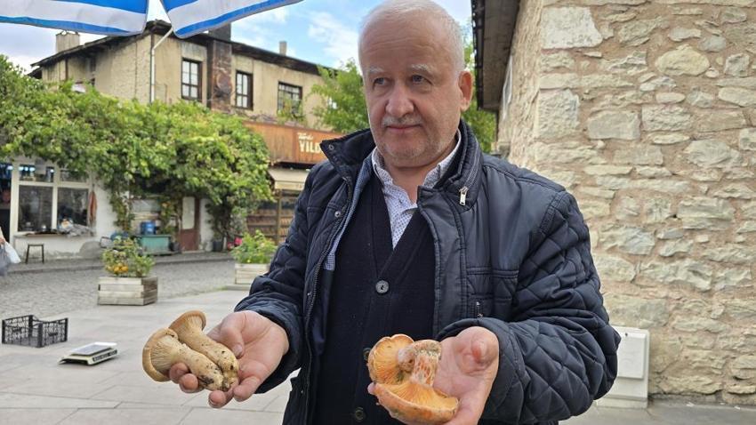 Karabük ormanlarında başladı! Karadeniz'in gizli lezzeti tezgahlarda, kilosu 500 TL