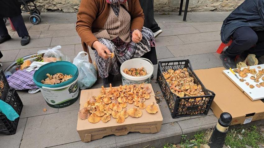Karabük ormanlarında başladı! Karadeniz'in gizli lezzeti tezgahlarda, kilosu 500 TL