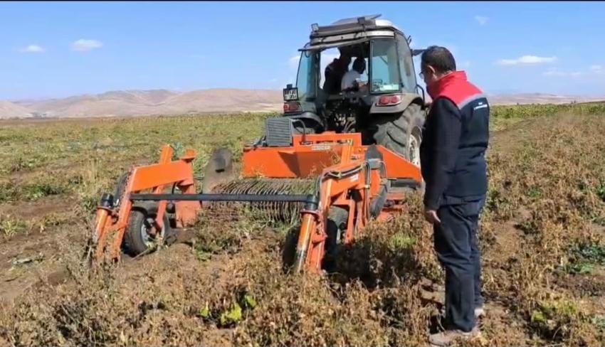 Bayburt'ta çiftçi yöntem değiştirdi, üretim hızla yükselişe geçti: 3 bin dekarlık alanda hasat başladı