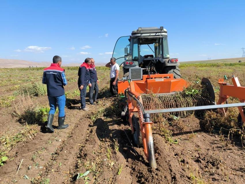 Bayburt'ta çiftçi yöntem değiştirdi, üretim hızla yükselişe geçti: 3 bin dekarlık alanda hasat başladı