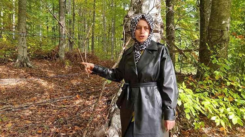 Kütahyalı çiftçi ilk ürününü hasat edemedi! Bahçeye gittiğinde hayatının şokunu yaşadı: 'Bundan sonra tek başıma gelmem'