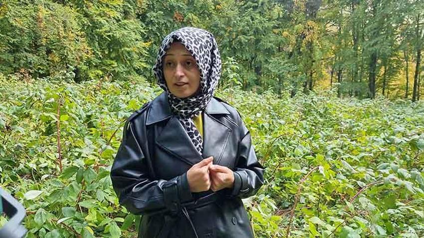 Kütahyalı çiftçi ilk ürününü hasat edemedi! Bahçeye gittiğinde hayatının şokunu yaşadı: 'Bundan sonra tek başıma gelmem'