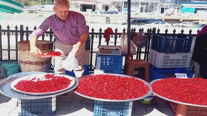 Dere yataklarından kasa kasa topluyorlar! Kilosu 80 TL'ye kadar çıkıyor! Faydaları saymakla bitmiyor