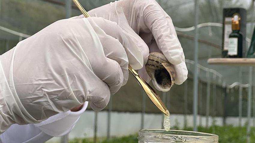 Pandemiyi fırsata çevirdi! Bulgaristan'dan getirtip Trabzon'da markasını kurdu! Şimdi dünyaya satıyor