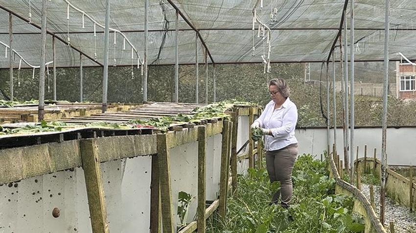 Pandemiyi fırsata çevirdi! Bulgaristan'dan getirtip Trabzon'da markasını kurdu! Şimdi dünyaya satıyor