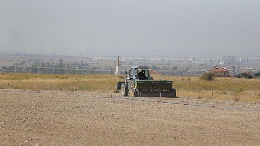 Niğde'de kuraklığa meydan okuyan proje! 100 dönüm araziye ekildi, hayvancılık alanında kullanılacak