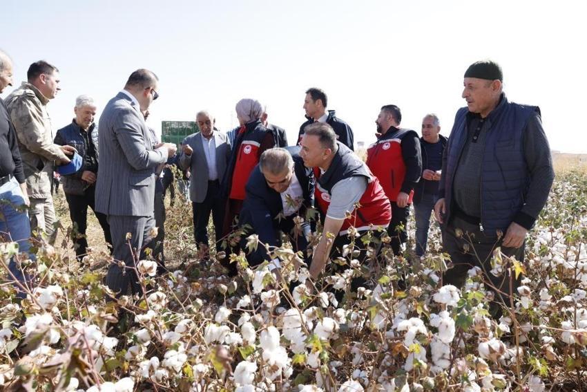 Diyarbakır'da devreye girdi! 400 bin dekarda başlatıldı: Yüzde 52 üretim burada yapılıyor
