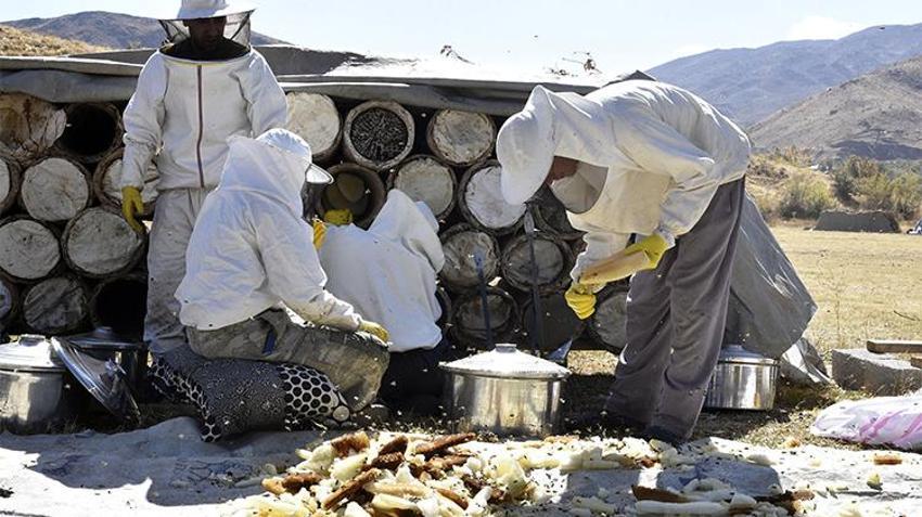 Defalarca dünya birincisi oldu! Kilosu 3 bin liradan kapış kapış satılıyor